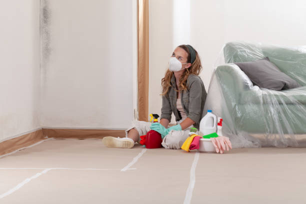 Trusted Mold Inspection service in Oak Brook, IL - WQB Mold Removal